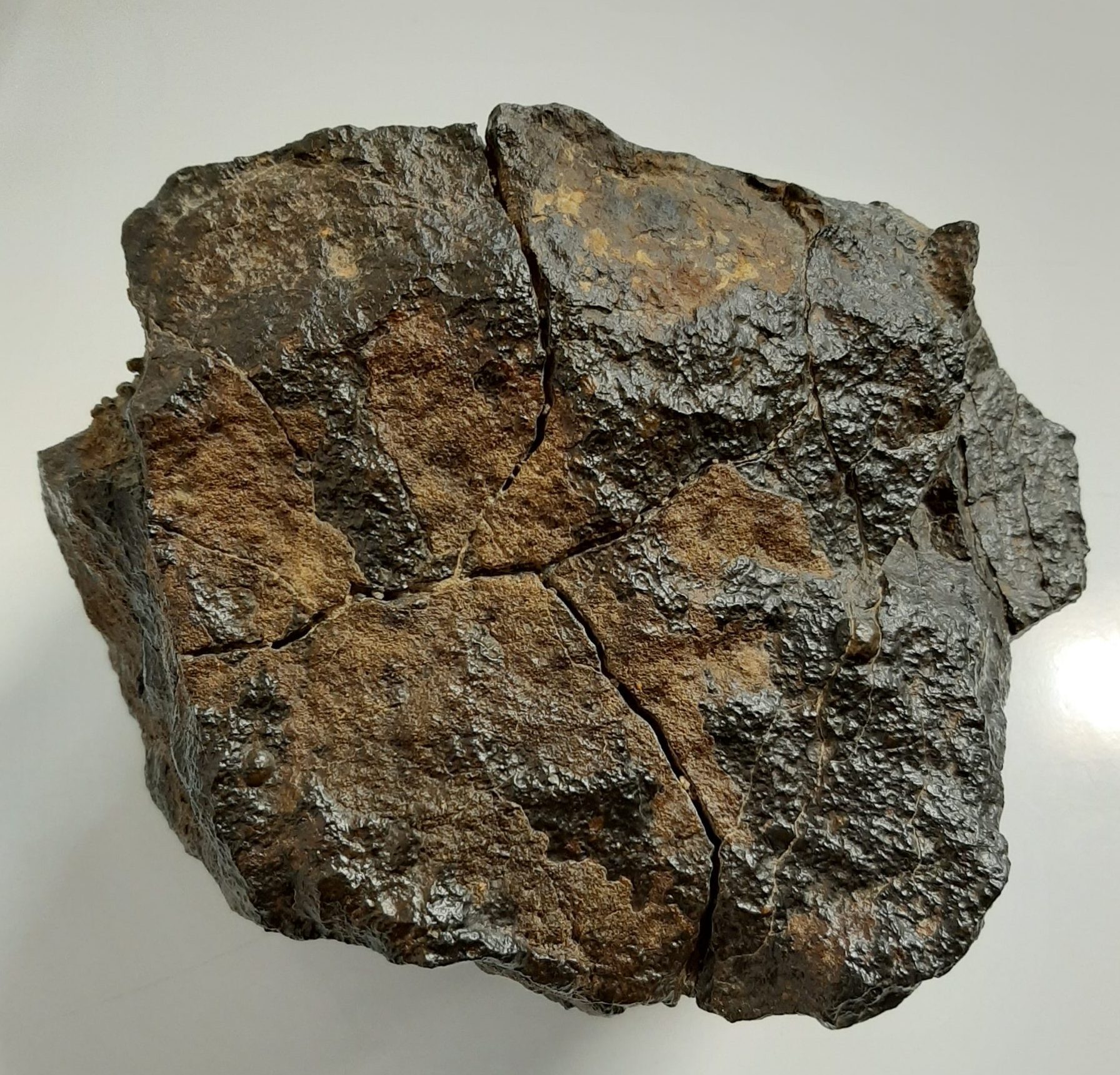 نگاهی ژئوشیمیایی به پتانسیلهای مغفول گوهرسنگهای ایران؛ فراسوی فیروزه نیشابور نگاهی ژئوشیمیایی به پتانسیلهای مغفول گوهرسنگهای ایران؛ فراسوی فیروزه نیشابور