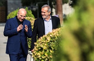 سرمایهگذاری برای تولید بدون بستر قانونی و اقتصادی محقق نمیشود/ دولت و مجلس همافزایی کنند