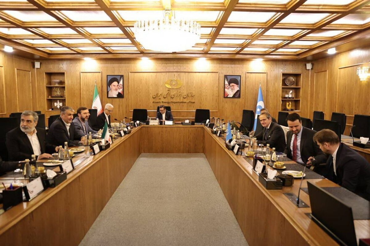 دیدار و مذاکره مدیرکل آژانس بینالمللی انرژی اتمی با محمد اسلامی