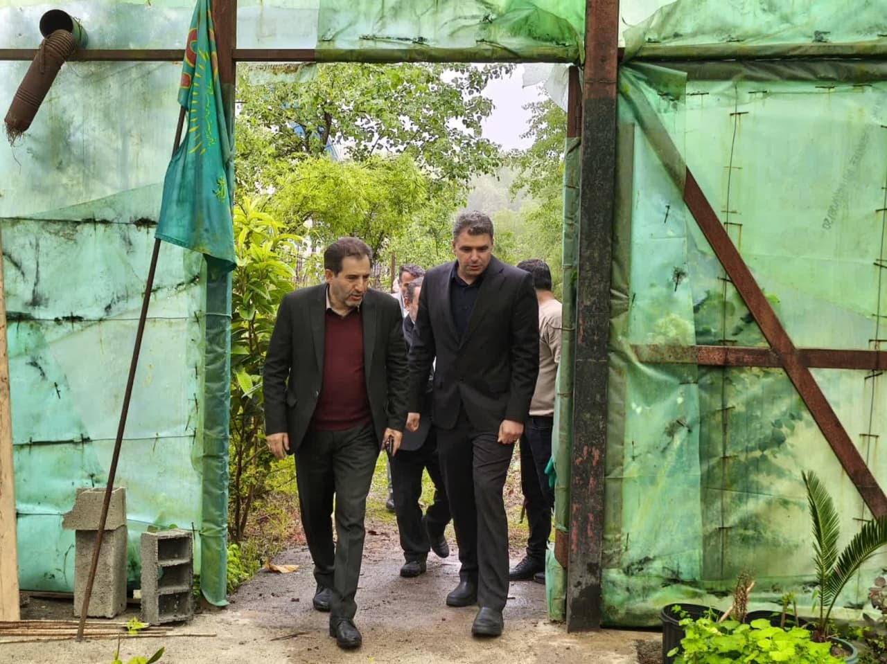 احیای گلخانه تولیدی دانشگاه آزاد نور با تکثیر ۵۰ هزار اصله قلمه احیای گلخانه تولیدی دانشگاه آزاد نور با تکثیر ۵۰ هزار اصله قلمه