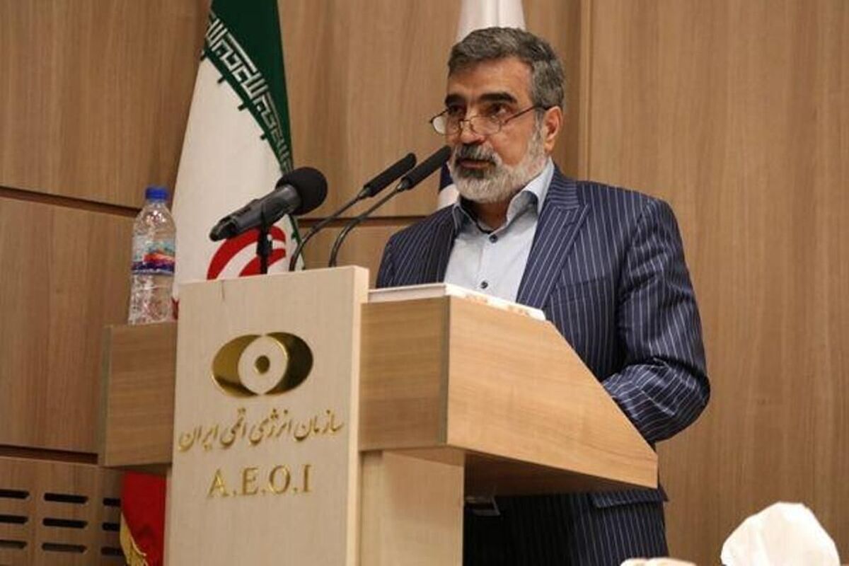 کمالوندی: تهدید استفاده از «مکانیسم ماشه» پوشالی است