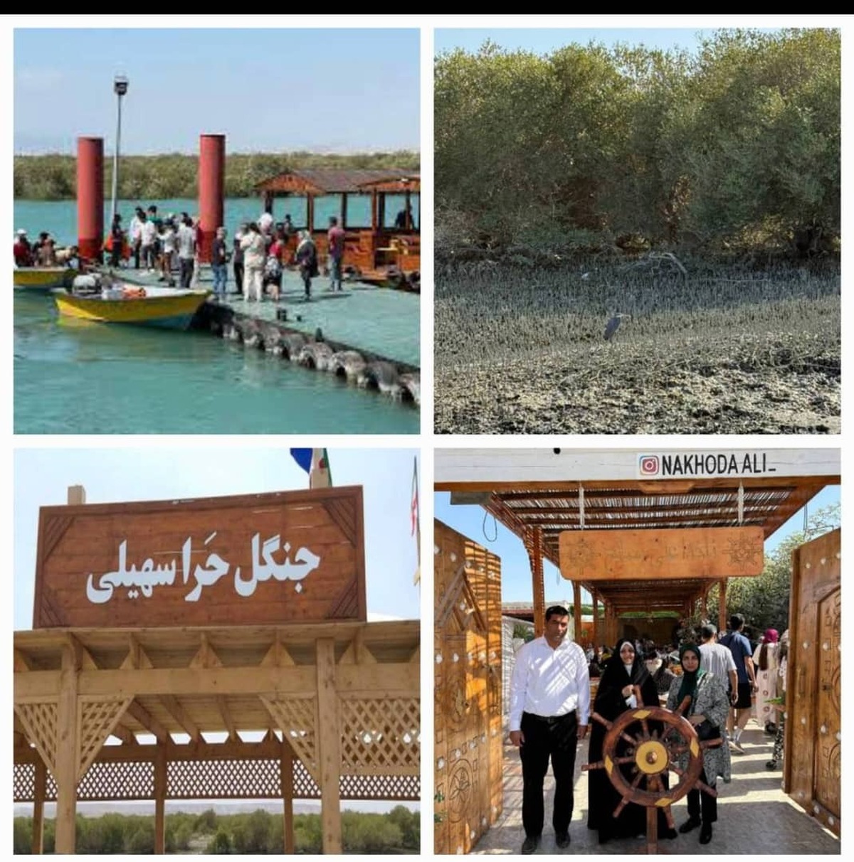 بازدید بهروز آذر از جزیره قشم