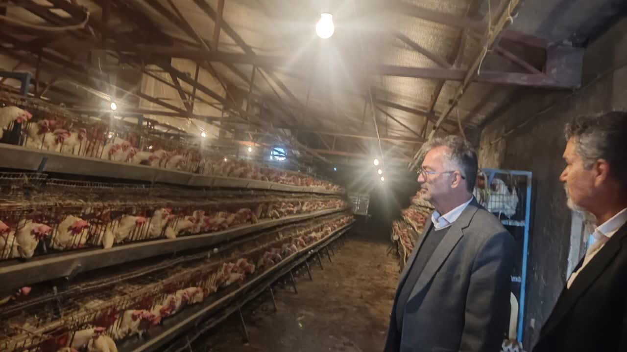 از ارائه خدمات دیجیتال مارکتینگ به کسبوکارهای منطقهای تا توسعه ۳ پروژه کشاورزی هوشمند با همکاری ۲ مرکز تحقیقاتی از ارائه خدمات دیجیتال مارکتینگ به کسبوکارهای منطقهای تا توسعه ۳ پروژه کشاورزی هوشمند با همکاری ۲ مرکز تحقیقاتی