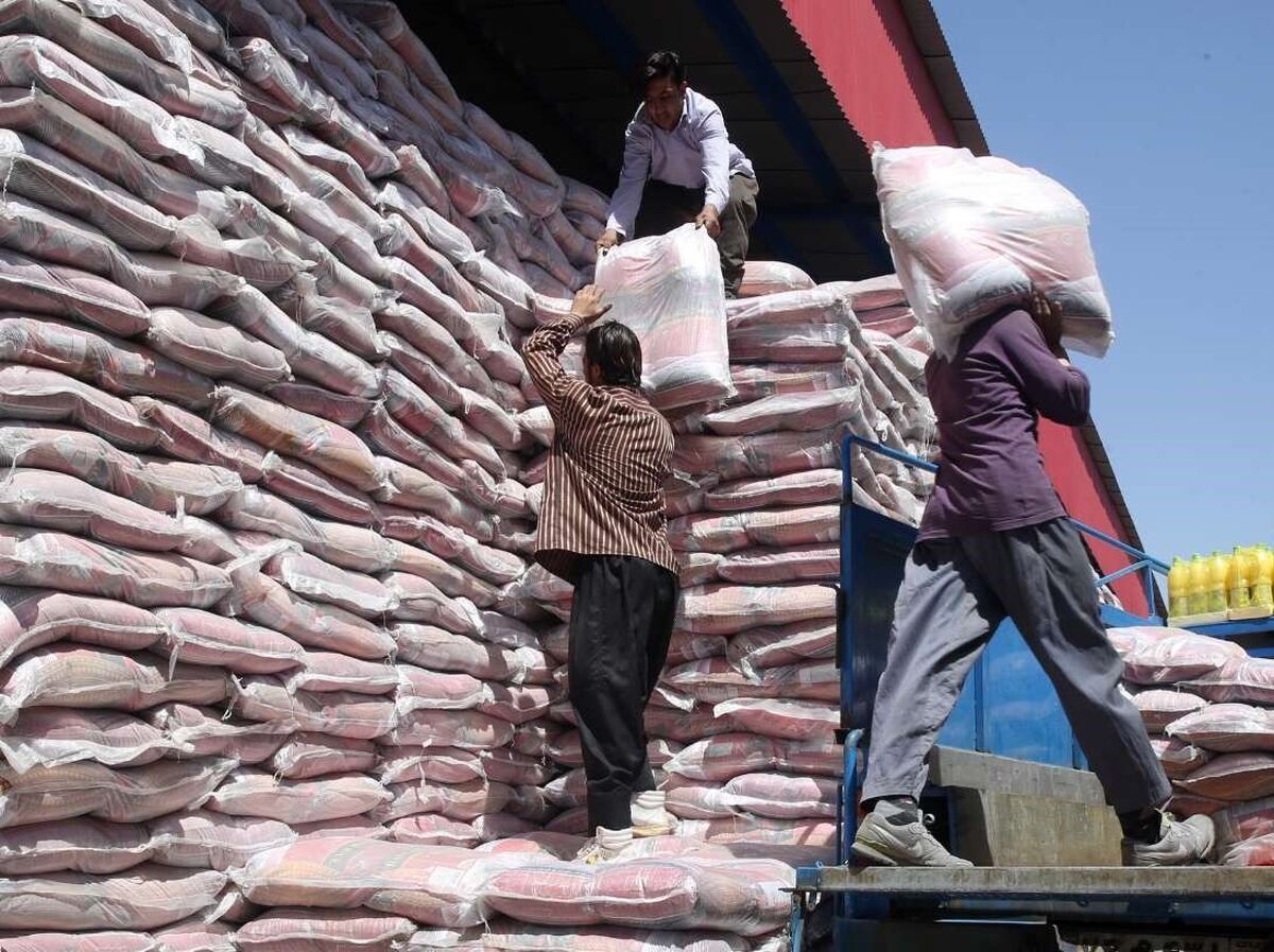 رئیس کل دادگستری هرمزگان: ادعای ریختن برنج در دریا صحت ندارد