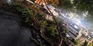 6 مصدوم در پی طوفان شب گذشته استان تهران/تمهیدات ادامه دارد
