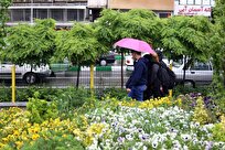 آذربایجان و سواحل خزر بارانی میشوند/وزش باد شدید و گردوخاک در تهران و چند استان