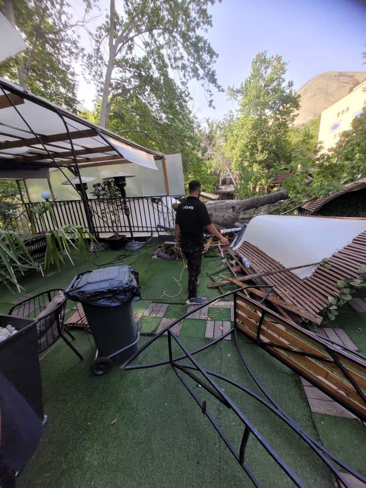 سقوط درخت ۲۵متری در محله درکه تهران