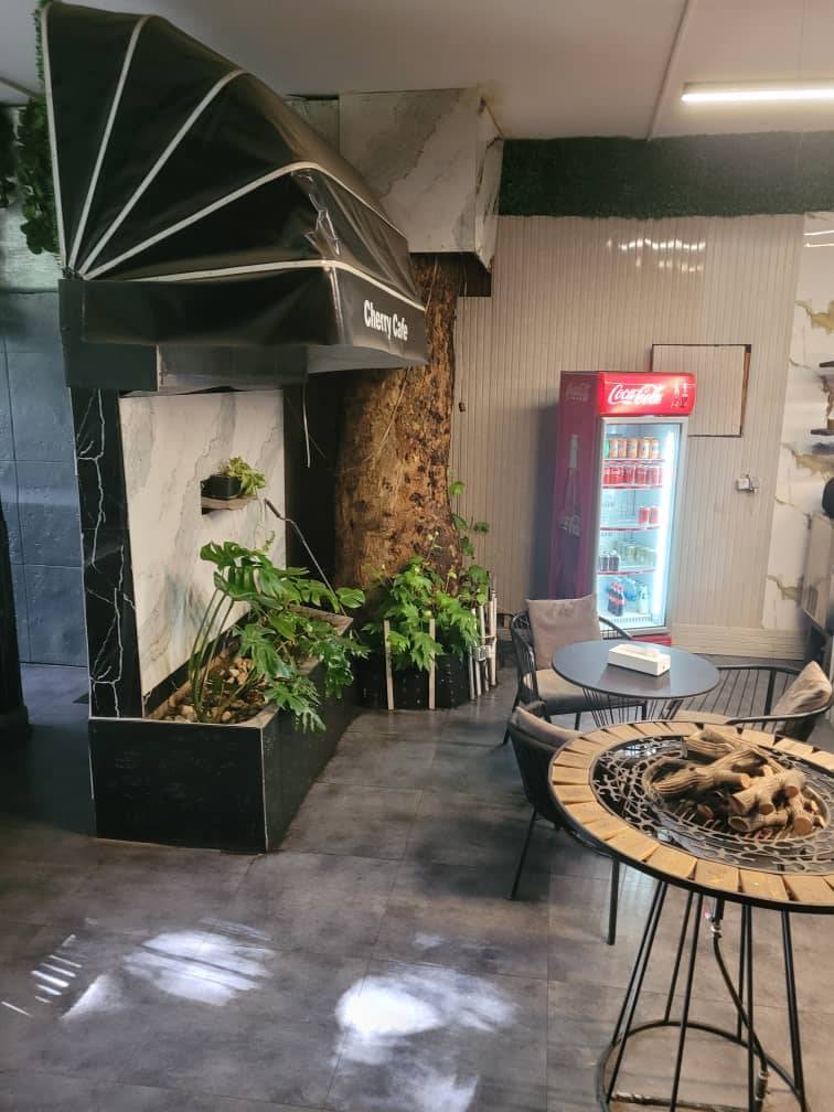 سقوط درخت ۲۵متری در محله درکه تهران