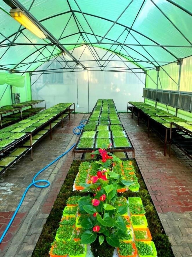 انقلاب سبز دانشگاه آزاد در تغذیه سالم و کشاورزی پایدار