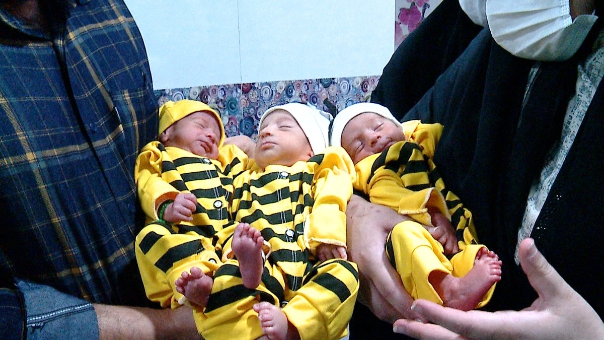 ثبت بیش از ۳۸ هزار مورد چندقلوزایی در سال ۱۴۰۳