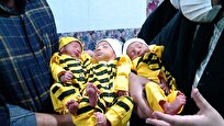 ثبت بیش از ۳۸ هزار مورد چندقلوزایی در سال ۱۴۰۳