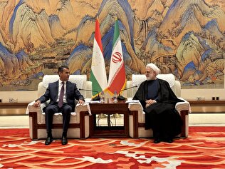 تاکید ویژه بر تعامل و همکاری دو کشور برای مقابله با چالشهای جهانی