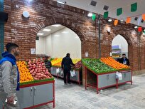 ادامه فعالیت میادین ترهبار تهران در پنجشنبهها