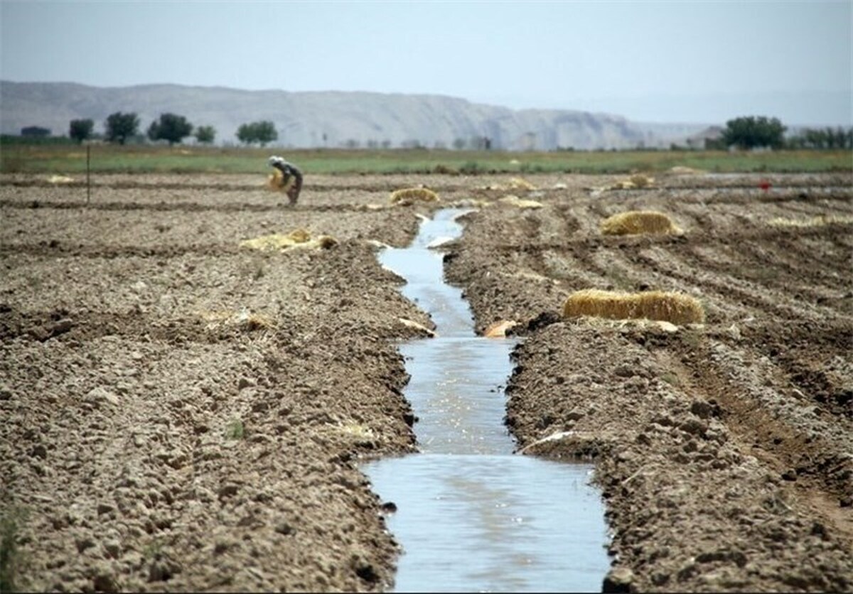 تغییر الگوی کشاورزی و بازچرخانی پساب به عنوان راهی برای نجات از بحران آب