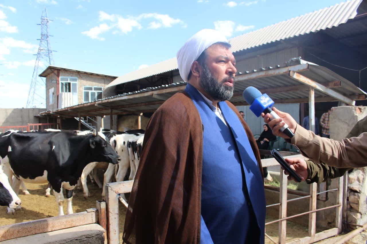 نماینده مجلس: از سرمایهگذاری دانشگاه آزاد در تولید حمایت میکنیم نماینده مجلس: از سرمایهگذاری دانشگاه آزاد در تولید حمایت میکنیم