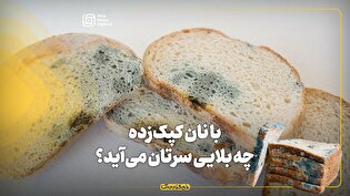 با نان کپکزده چه بلایی سرتان میآید؟