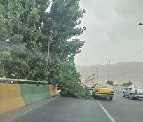 تهران طوفانی شد