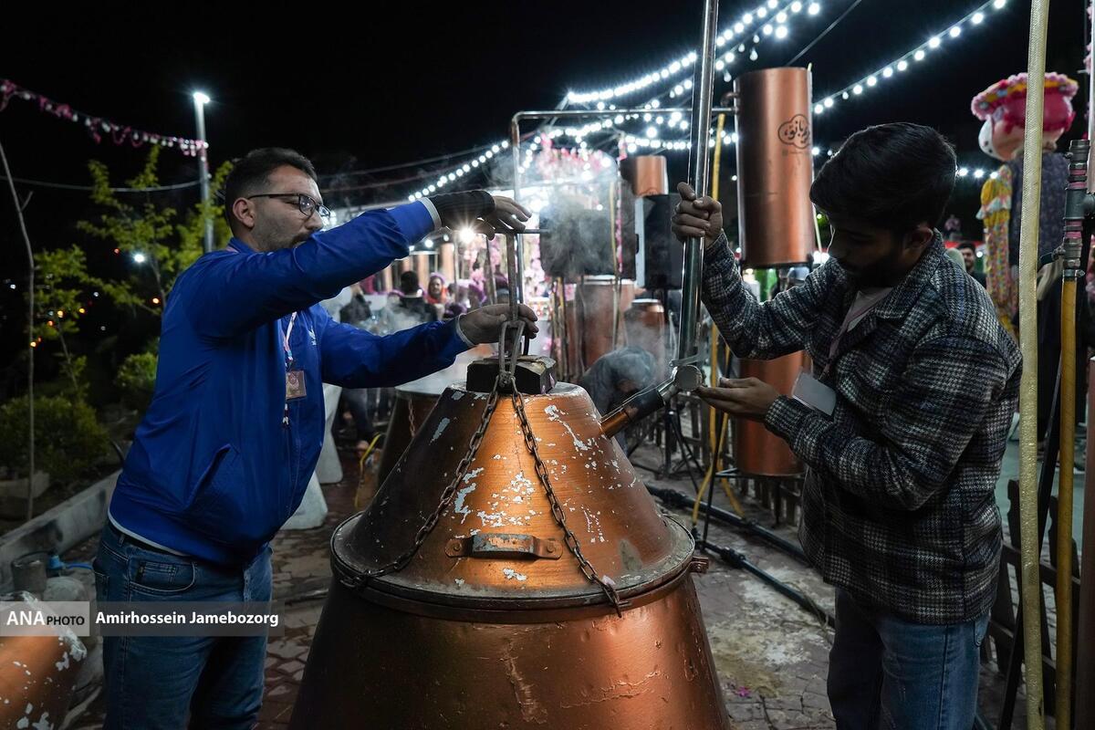 آغاز جشنواره گلابگیری در تهران