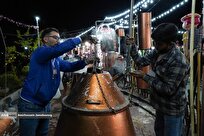آغاز جشنواره گلابگیری در تهران