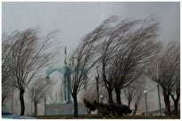 چهارشنبه و پنجشنبه در اغلب نقاط کشور باد شدید میوزد