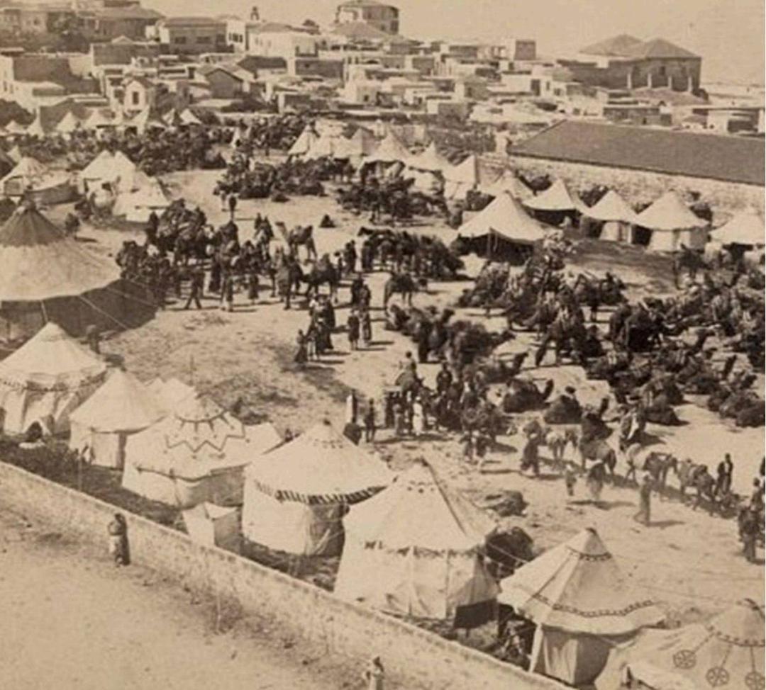 فلسطین؛ حلقه فراموش شده حج