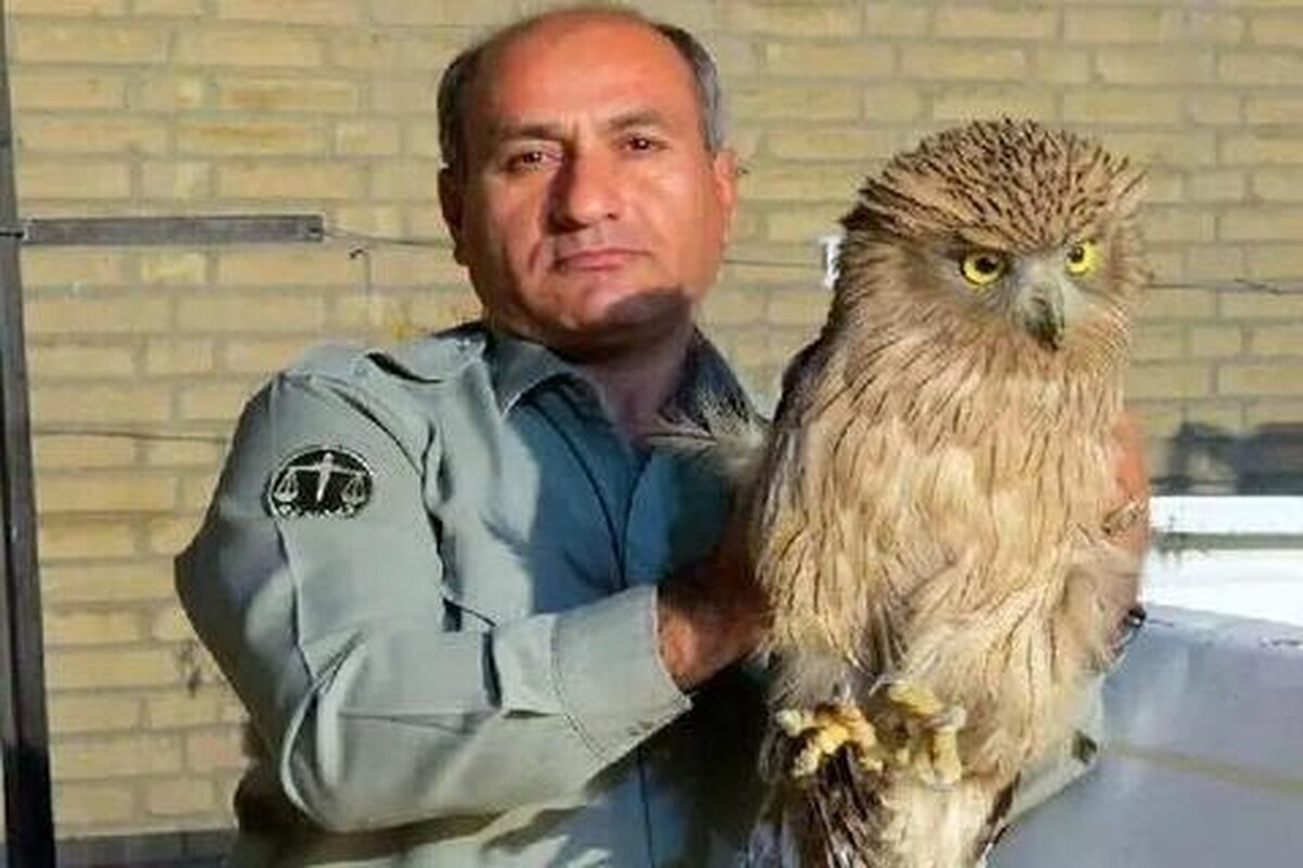 دستگیری عاملان قتل مأمور محیط زیست در خائیز