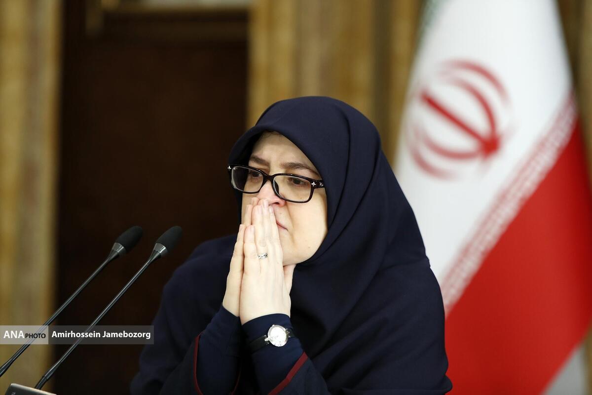 مهاجرانی: دولت آماده همکاری با مجلس برای احیای رویکرد اصلی لایحه امنیت زنان است