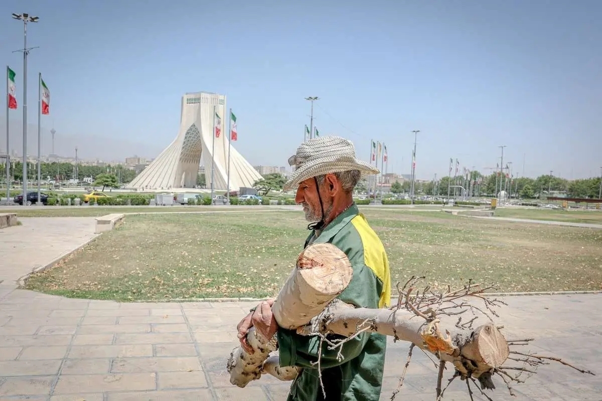 درختان خشک رفتند، فضای سبز میدان آزادی جان گرفت