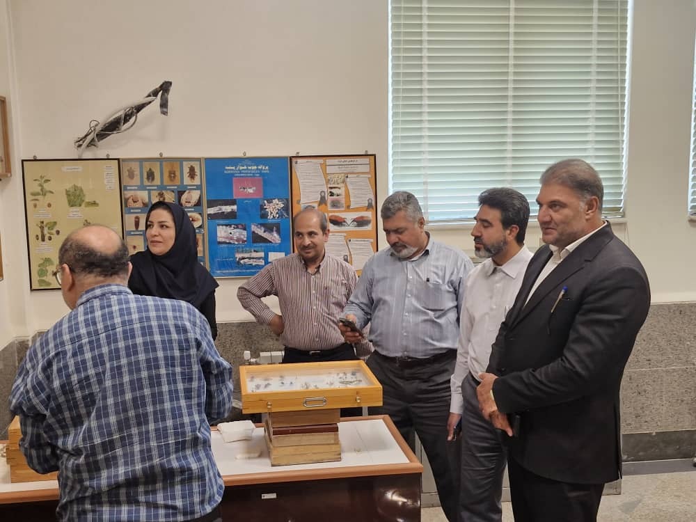 دانشگاه آزاد جهرم مجوز مرکز مشاوره شغلی را دریافت کرد دانشگاه آزاد جهرم مجوز مرکز مشاوره شغلی را دریافت کرد