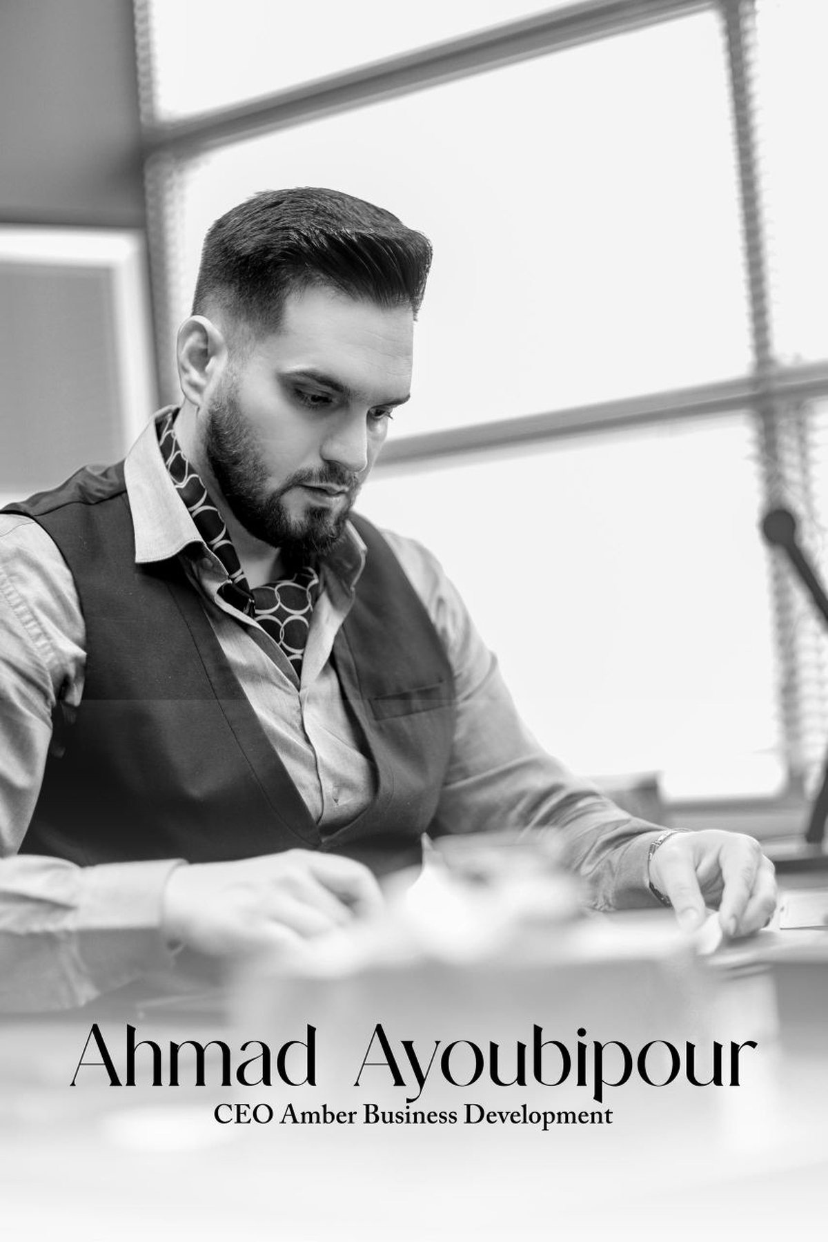 مهندس احمد ایوبی پور - ذهن تجاری پشت برند لامبردو