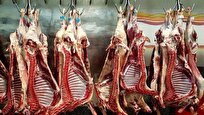 پشت پرده واردات گوشت چه منافع خاصی وجود دارد؟+فیلم