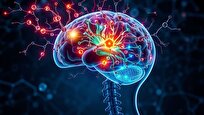 چگونه مغز زمان احساس خوشی را پیشبینی میکند