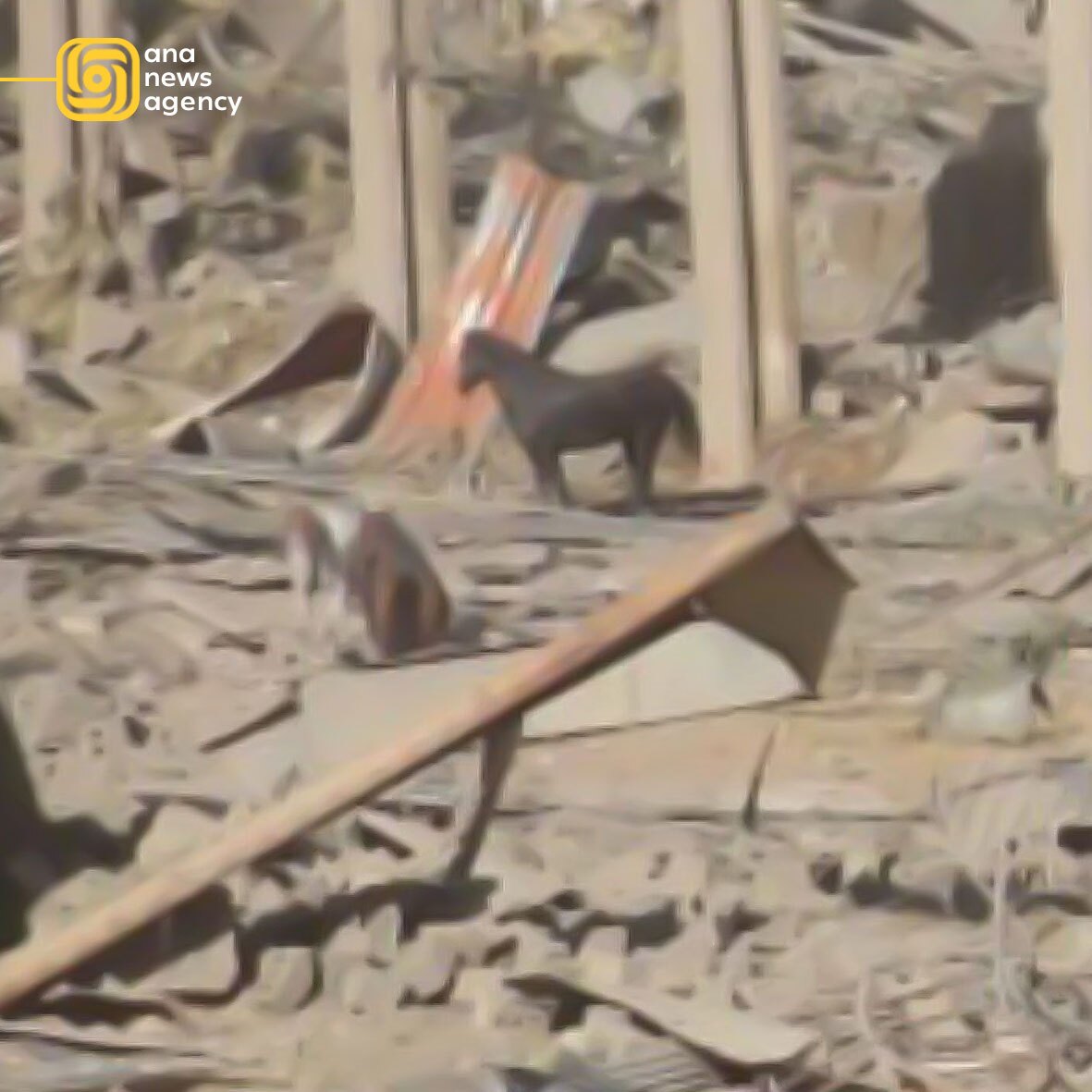 گزارش درگیری لحظهبهلحظه با متجاوزان صهیونیستی در برخی استانهای کشور +فیلم و عکس گزارش درگیری لحظهبهلحظه با متجاوزان صهیونیستی در برخی استانهای کشور +فیلم و عکس