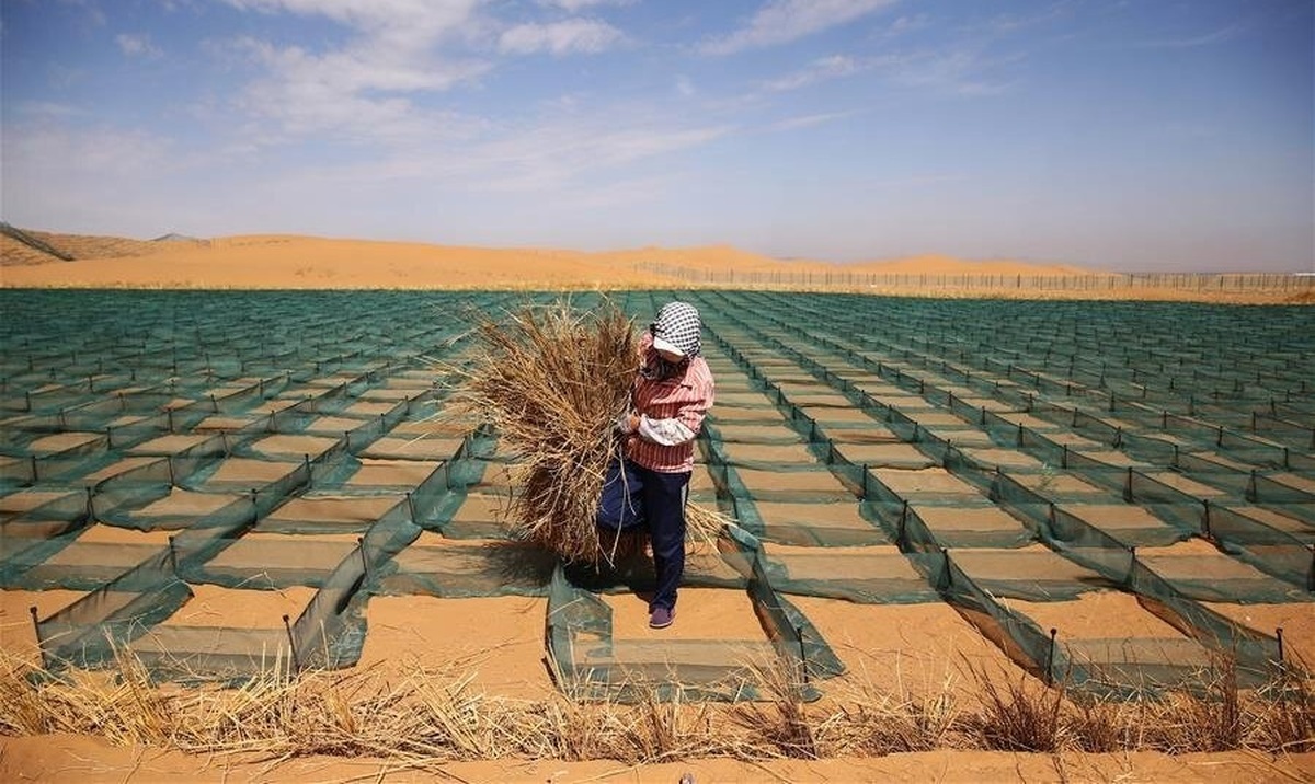 بیابانزدایی به فرهنگ عمومی و مکتب فکری ملی تبدیل شود