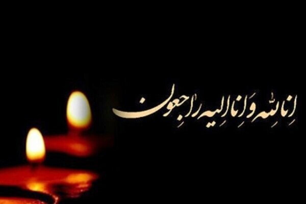 شهادت کارمند پژوهشگاه علوم انسانی در حمله رژیم صهیونیستی