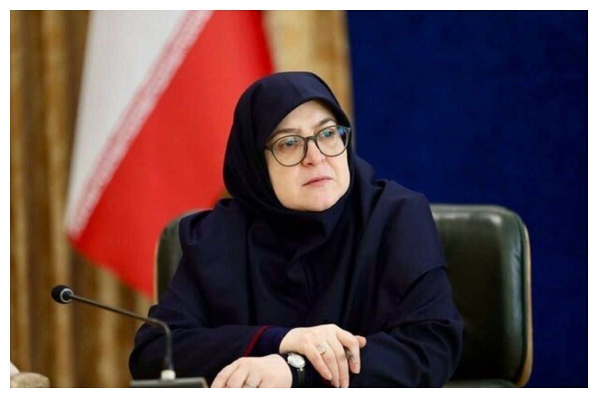 مهاجرانی: درگیر یک جنگ ترکیبی هستیم مشکلی در تامین سوخت نداریم، اما مدیریت میکنیم