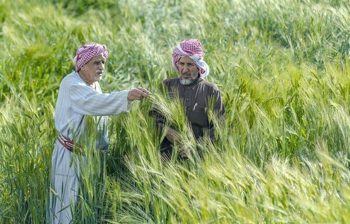 دروغ سبز ترامپ؛ توهُم کشاورزی سعودی از چه زوایایی قابل نقد علمی است؟
