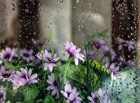 ورود موج جدید ناپایداری به کشور/بارش و وزش باد شدید در ۱۳ استان