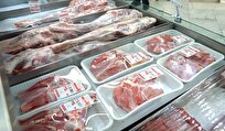 تولید سه شیفته فعالیت صنایع گوشت و مرغ /روزانه ٧٠٠٠ فروشگاه زنجیره‌ای سراسر کشور فعال است