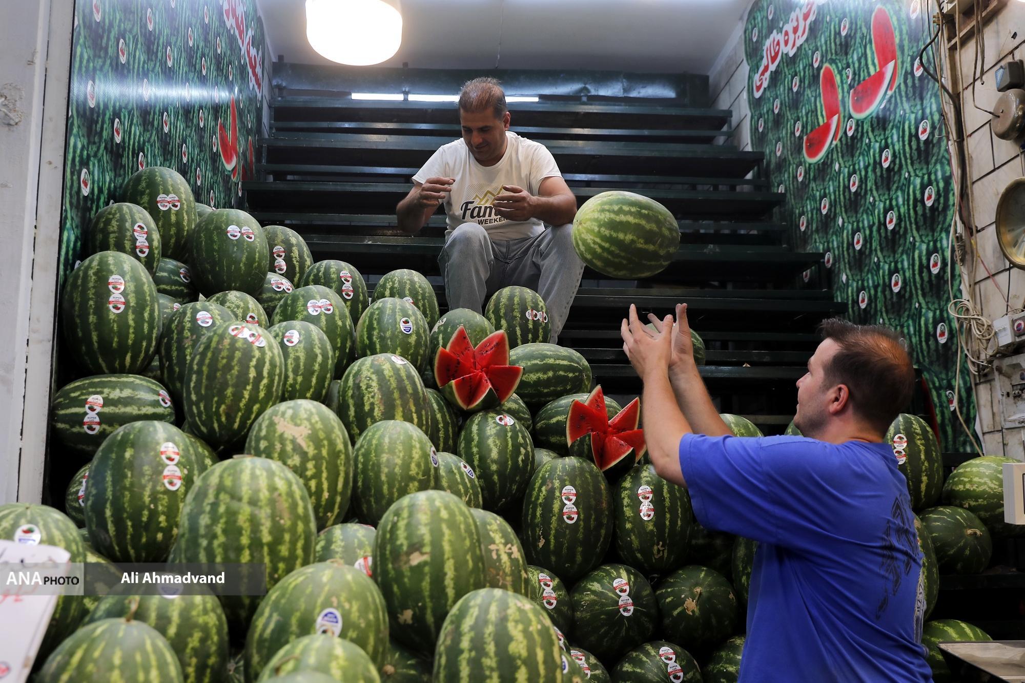 تهران؛ آرام، زنده، و در حرکت تهران؛ آرام، زنده، و در حرکت