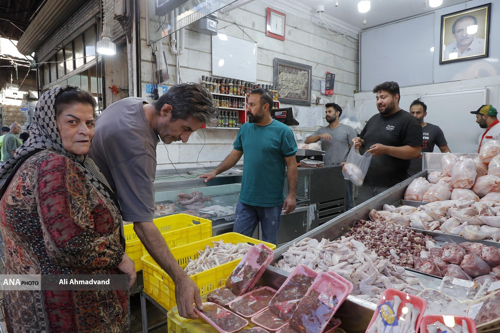 تهران؛ آرام، زنده، و در حرکت