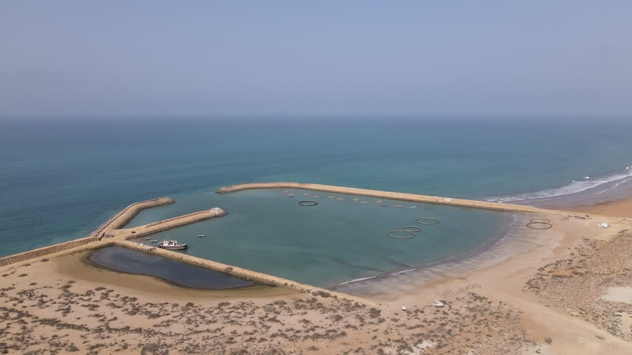 پیشبینی برداشت ۴ تن ماهی از طرح اقتصاد دانشبنیان دانشگاه آزاد سیستان و بلوچستان پیشبینی برداشت ۴ تن ماهی از طرح اقتصاد دانشبنیان دانشگاه آزاد سیستان و بلوچستان