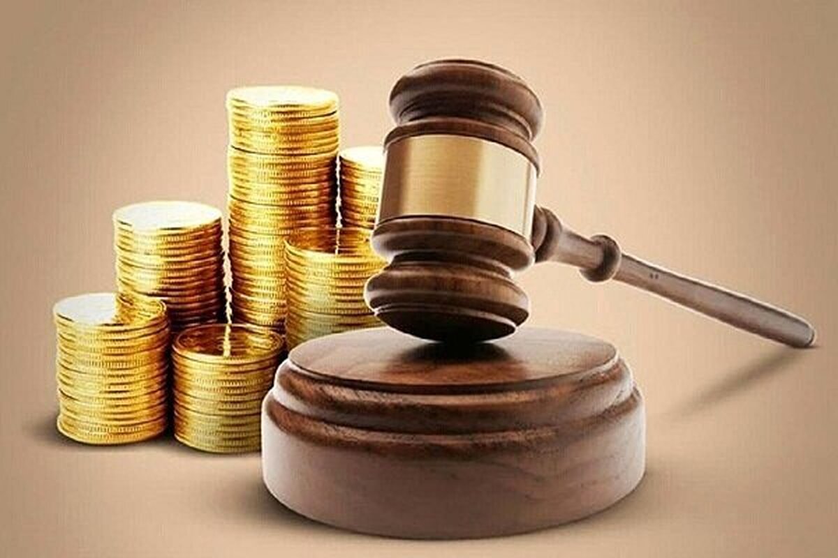 مهریه ۱۴ سکهای نافی حقوق زنان نیست حقوق زنان در لایحه جدید محفوظ مانده است