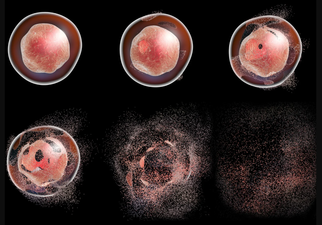 آیا مدیریت سلولها به دست انسان است؟ آیا مدیریت سلولها به دست انسان است؟