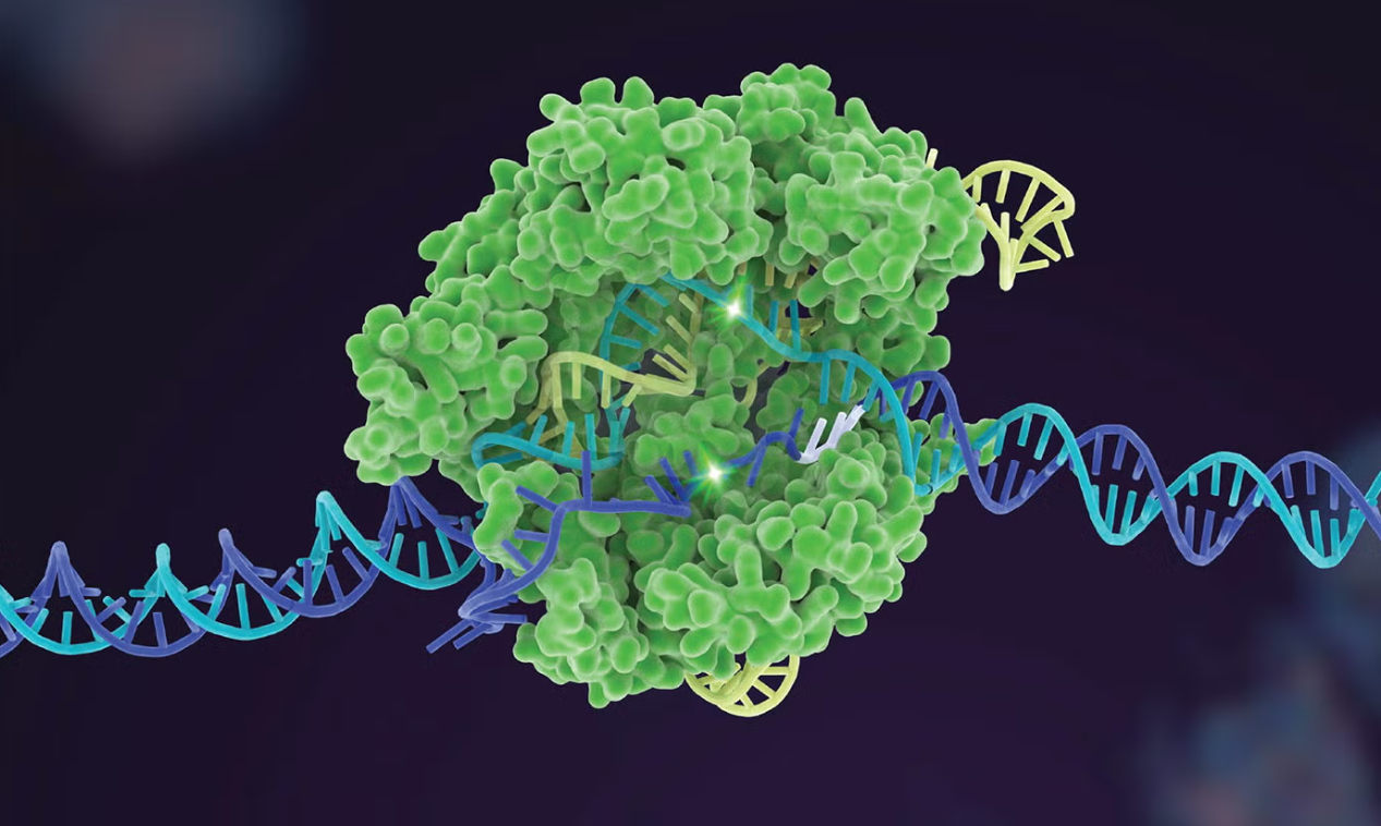 آیا مدیریت سلولها به دست انسان است؟ آیا مدیریت سلولها به دست انسان است؟