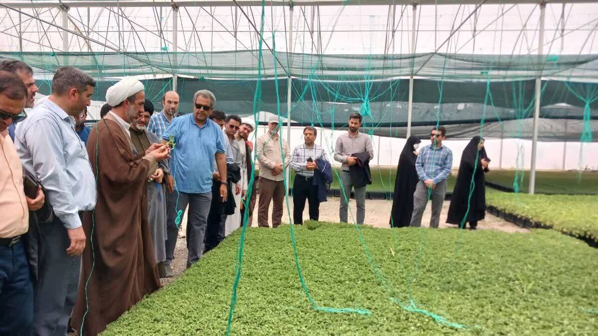 آشنایی استادان با ظرفیتهای صنعتی و کشاورزی در اردوی راهيان پيشرفت