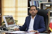 تولید میگوی فوقمتراکم توسط محققان دانشگاهی؛ نخلهایی که به بار نشستند