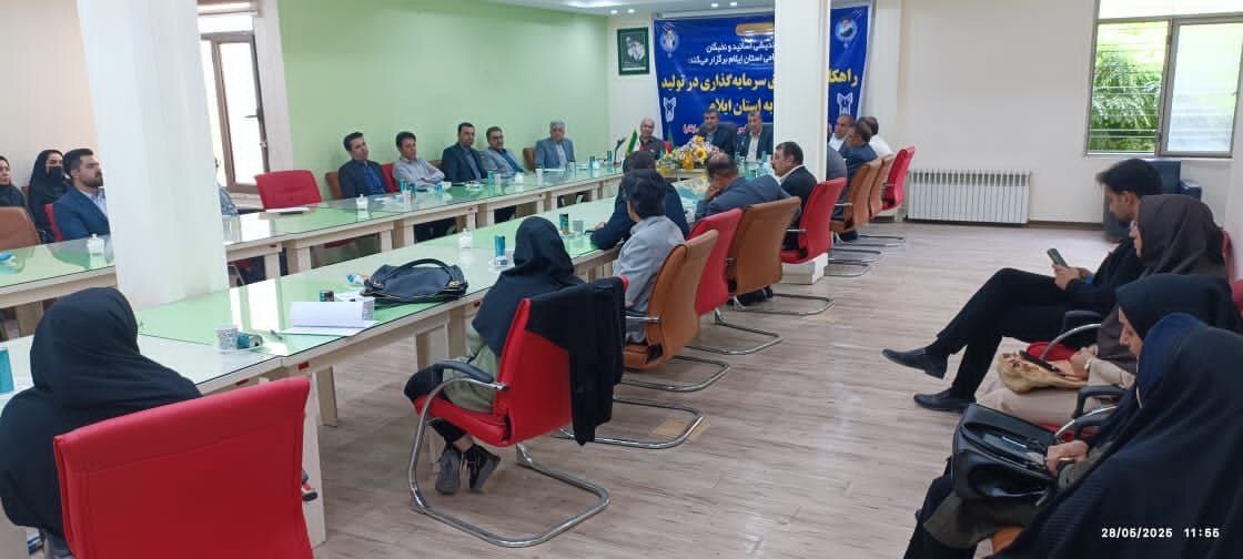 معاون استاندار ایلام: از زنجیره تولید غافل بودهایم! / رقم بیکاری استان خیلی بیشتر از ۶ درصد است معاون استاندار ایلام: از زنجیره تولید غافل بودهایم! / رقم بیکاری استان خیلی بیشتر از ۶ درصد است