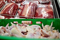 جزئیات آمار عرضه گوشت در اردیبهشت؛ گوشت گاو و گوساله در صدر، طیور با رشد ۴ درصدی