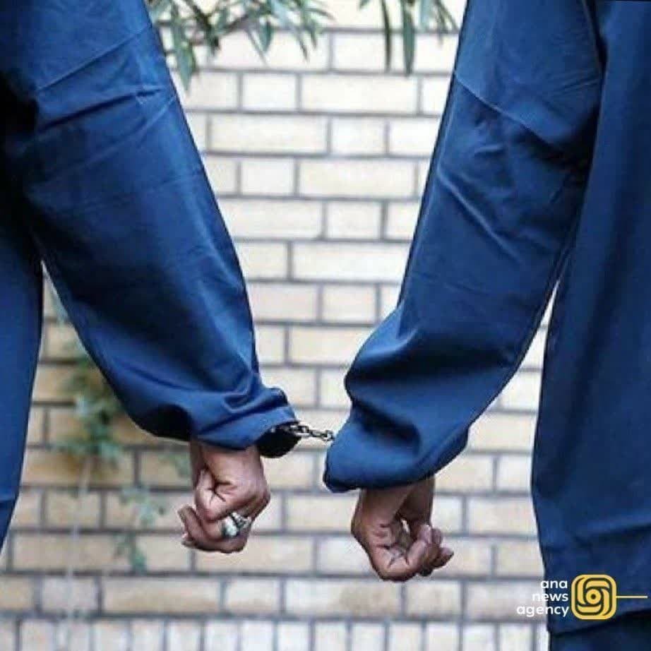 ایرانگردی با «آنا»؛ سفری به دلِ رویدادهای مهم استانها ایرانگردی با «آنا»؛ سفری به دلِ رویدادهای مهم استانها